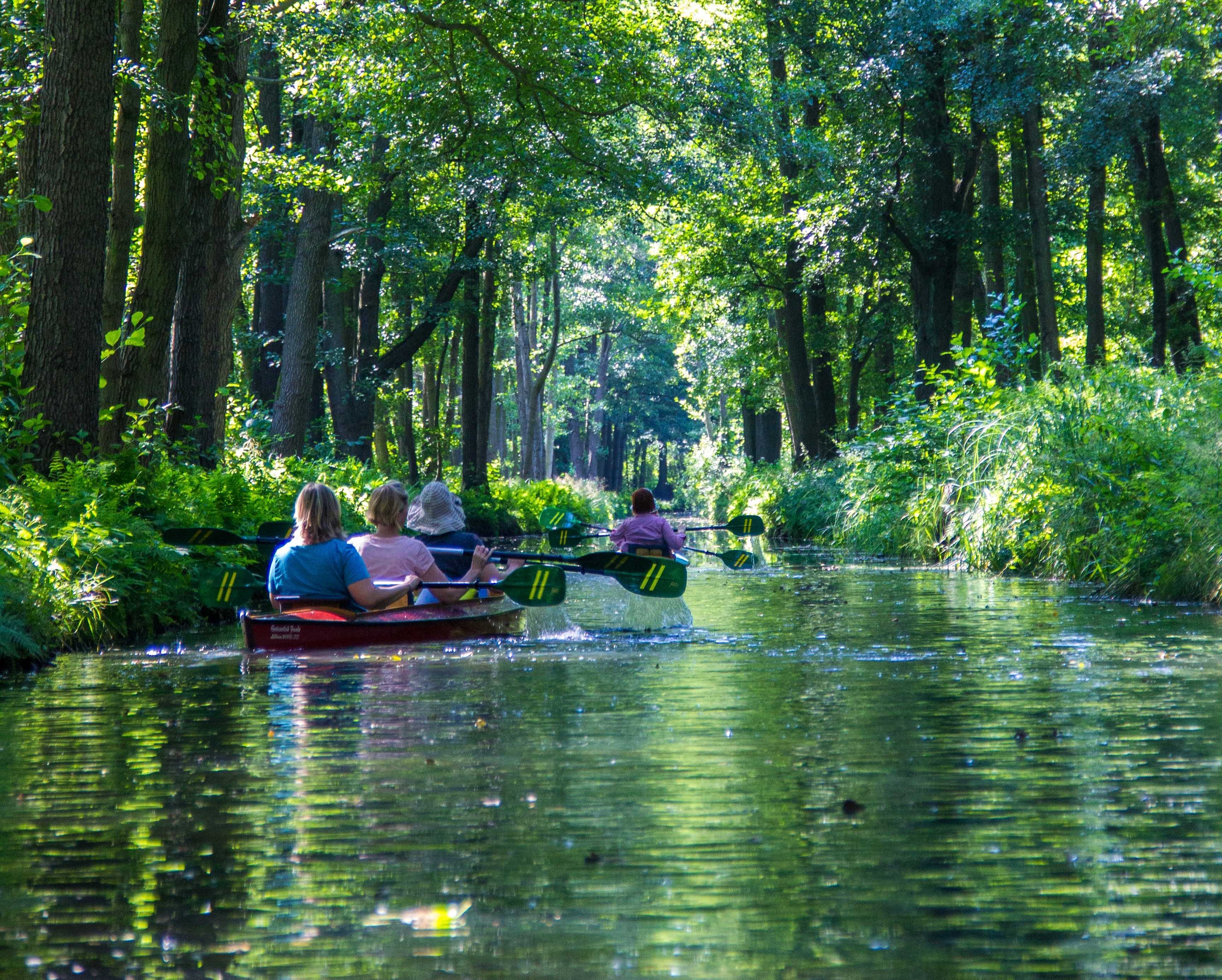 Family kayaking in forest by Philippe Oursel via Unsplash